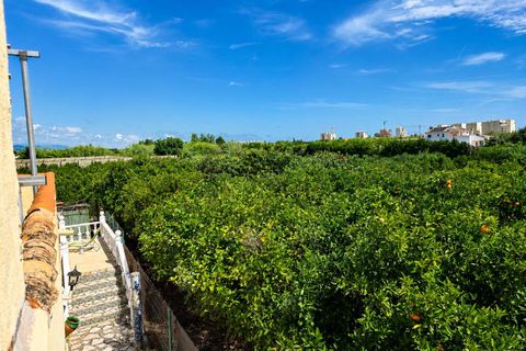 Villa i Oliva, Valencia, Oliva - € 250.000 | Ref: PNVL2178 - foto 24